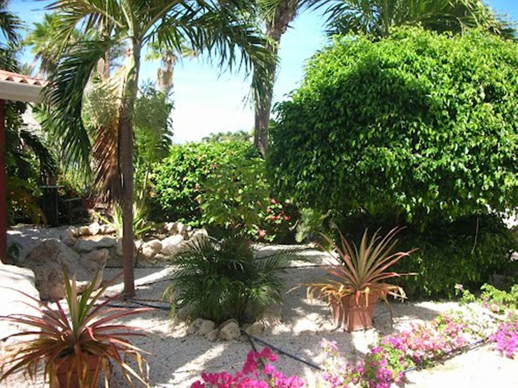 וילמסטאד Seru Coral Resort Studio 16 מראה חיצוני תמונה